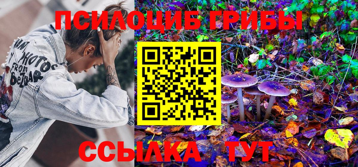 Галлюциногенные грибы Psilocybine cubensis  Вход с VPN  Сургут 