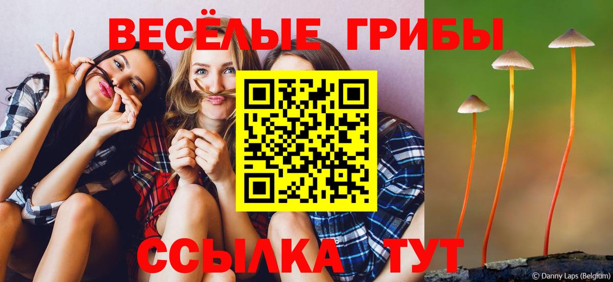 Псилоцибиновые грибы MAGIC MUSHROOMS Сургут